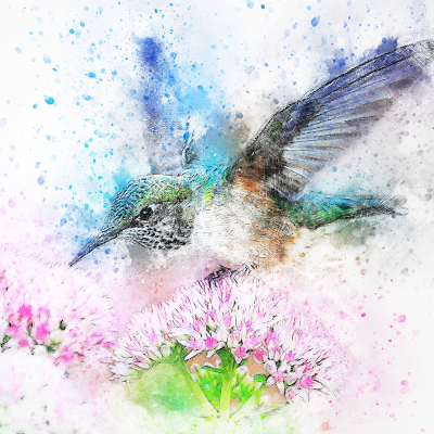 Pretty CC-picture of a hummingbird